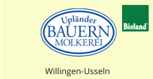 Willingen-Usseln