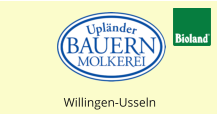 Willingen-Usseln