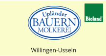 Willingen-Usseln