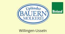 Willingen-Usseln