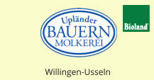 Willingen-Usseln